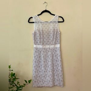 BCBG Lace mini dress